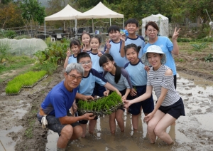 走進梅窩稻田：體驗「退步原來是向前」的農耕智慧