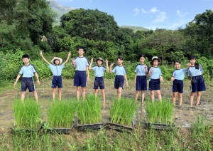 梅窩田野插秧樂——自然農耕之旅